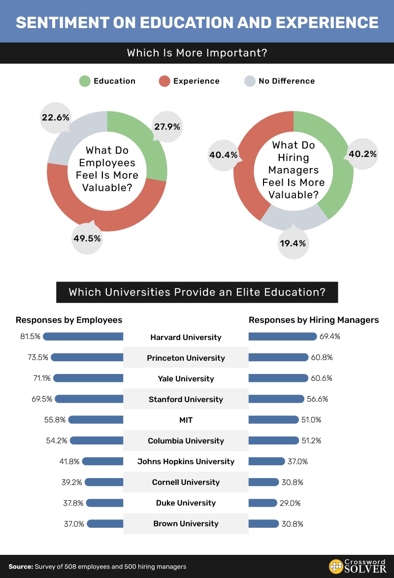 Experience vs Education Infographic
