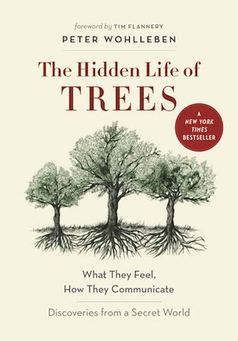 The Hidden Life of Trees // Peter Wohlleben